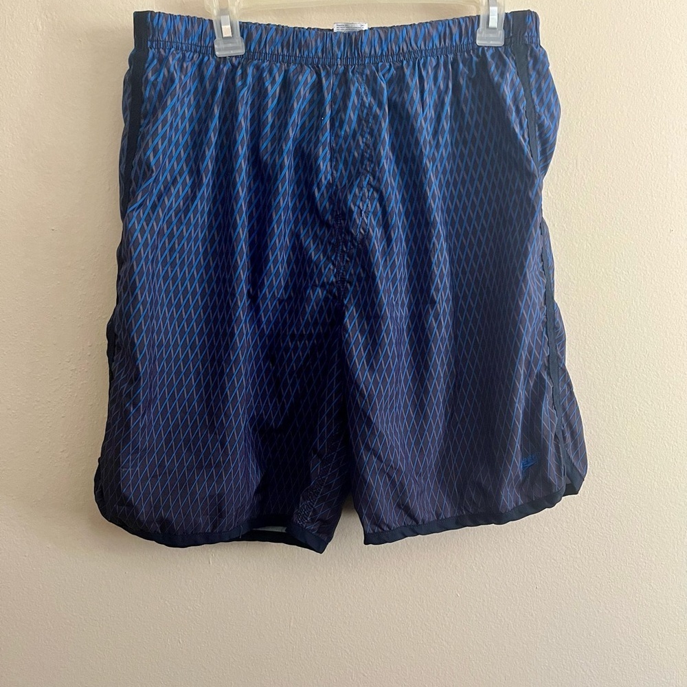 Men’s Speedo Swim Shorts